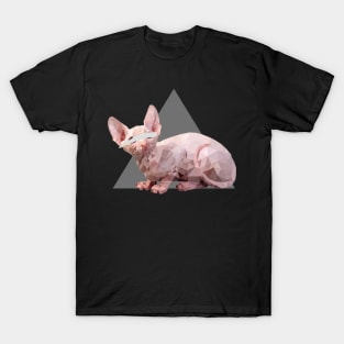 Damn cat T-Shirt